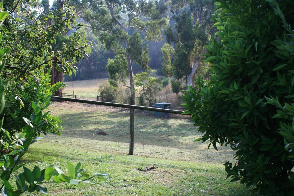 Strathmore Farm B&B Mirboo North ภายนอก รูปภาพ